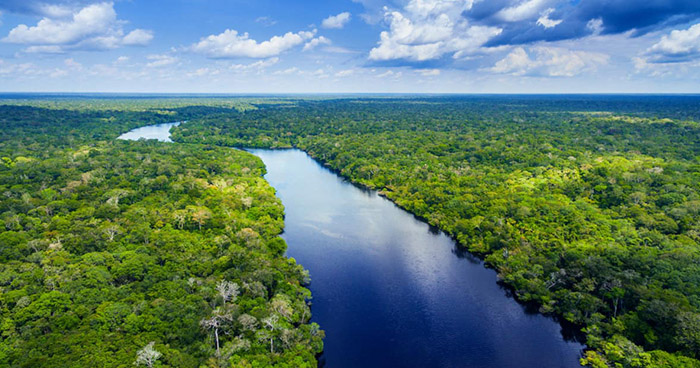 amazzonia-SITE.jpg